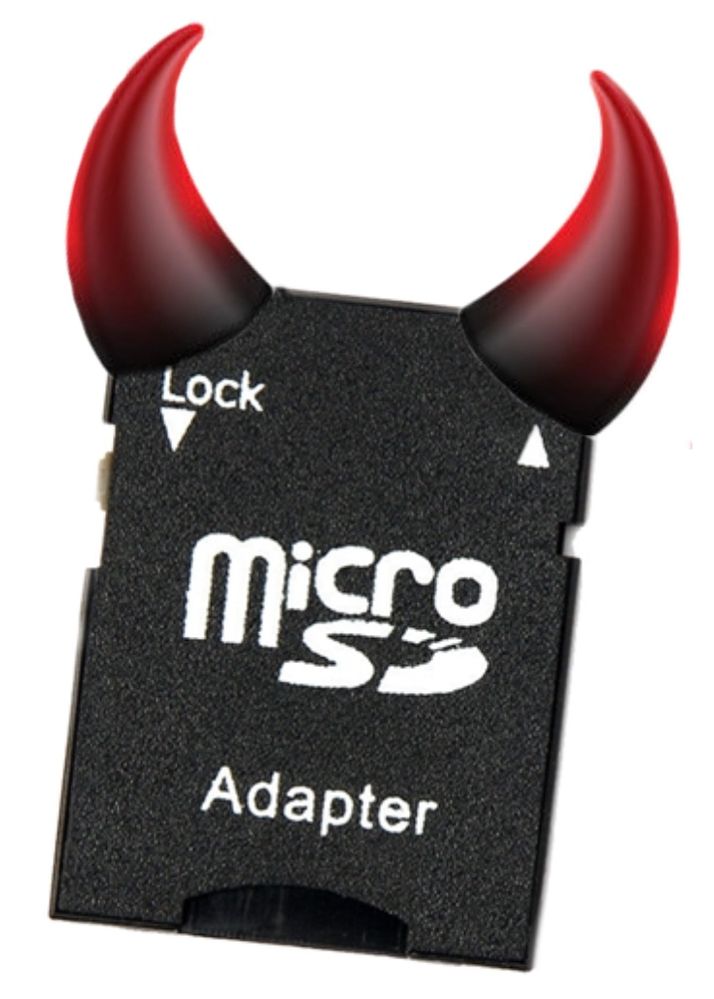 Micro SD Adapter.jpg