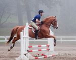 Hunter Jumper