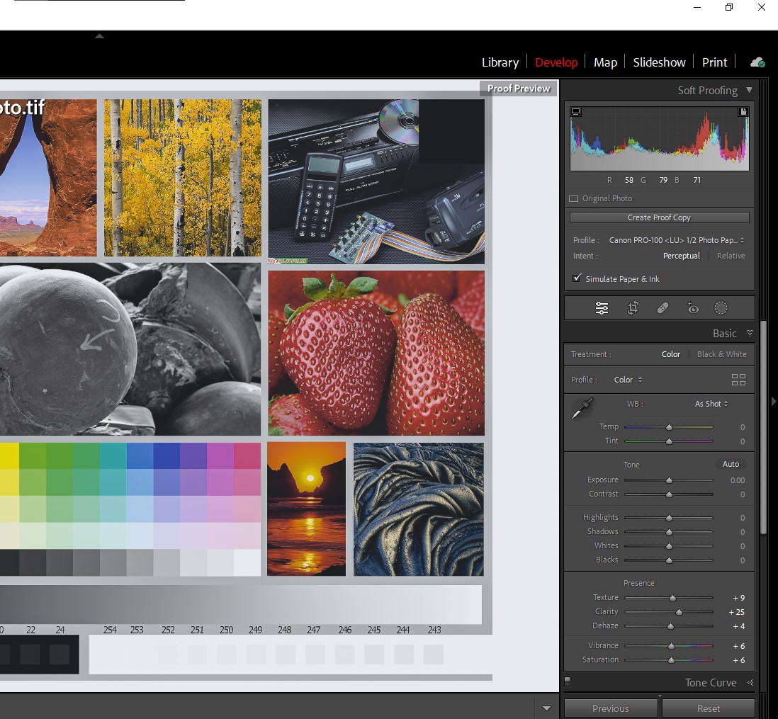 PIXMA PRO100 ICC profiles not showing up on Mac /... Canon Community