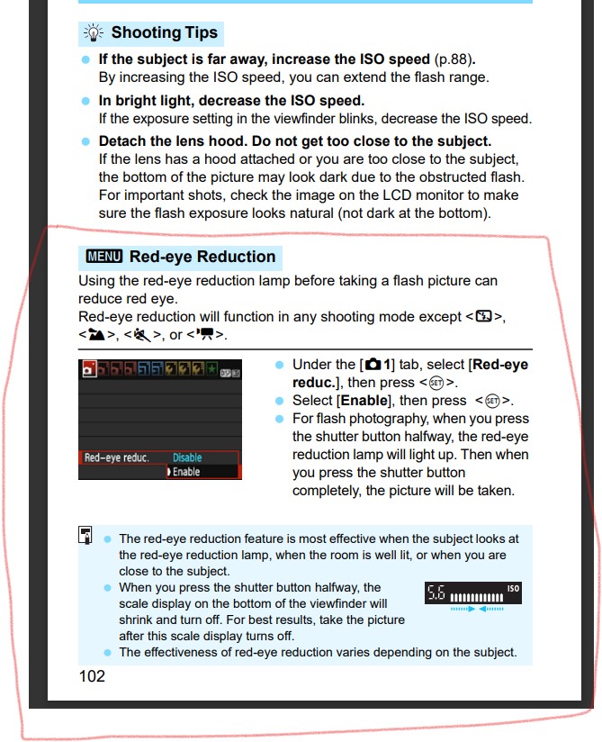 Lens for Cat Closeups Canon Community