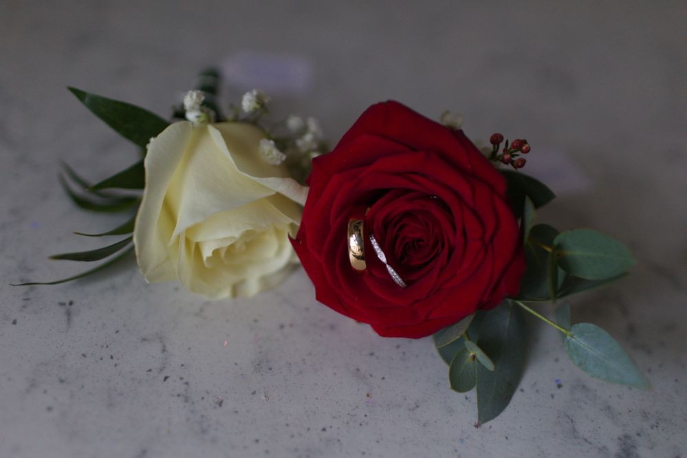 Still a visible line at the bottom.