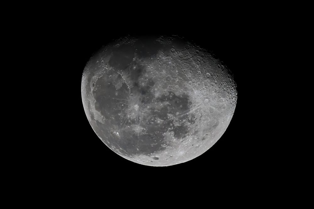 1X Raw 100% Zoom and Crop.