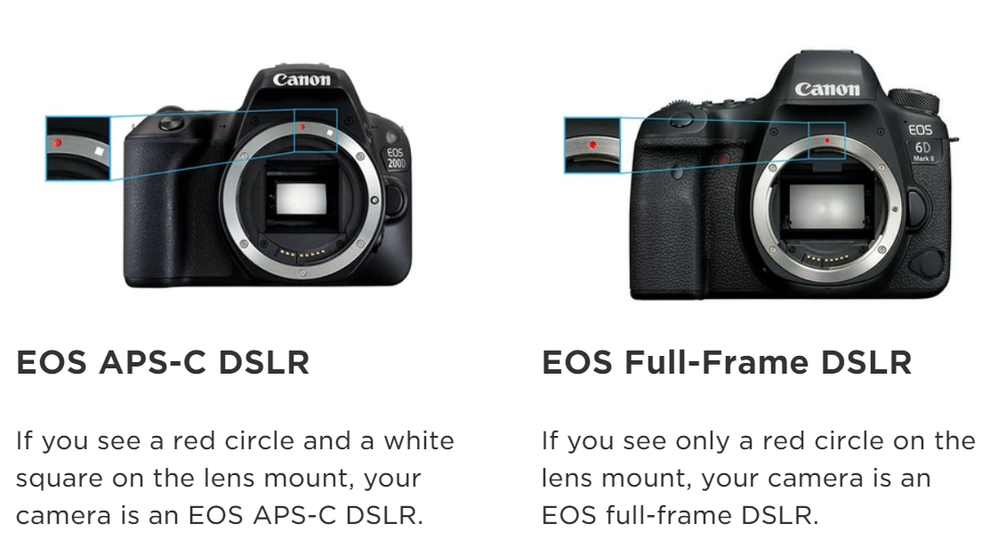 EF= Red Dot (On ALL EOS Bodies) EF-S= White Square (ONLY on EOS APS-C Bodies EOS 300D/ Digital Rebel and 20D- Present