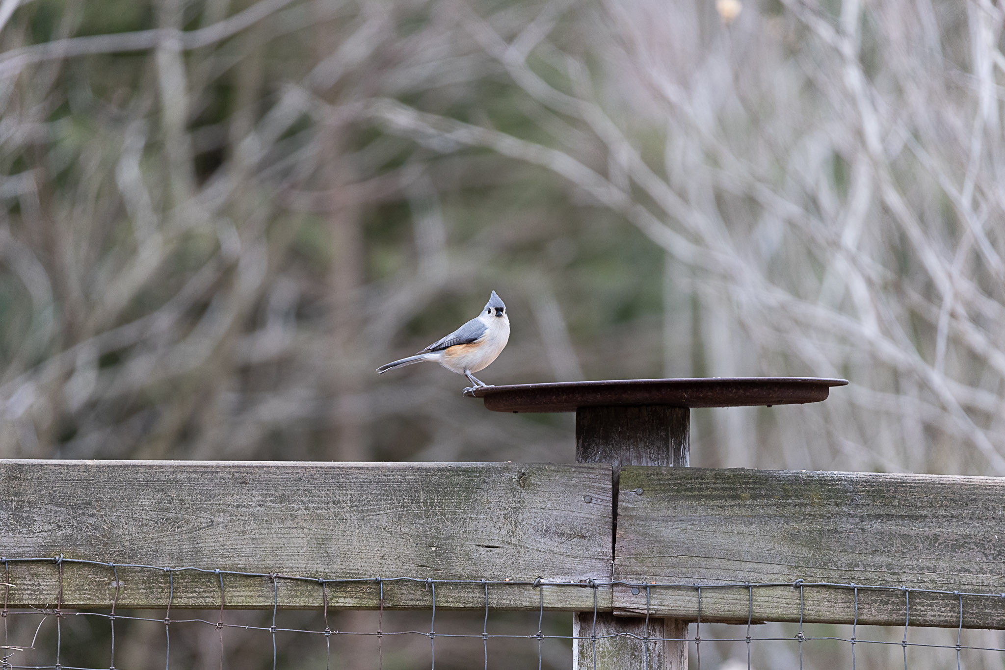 EOS R5 Image quality and focus issues Canon Community