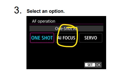 Hide AI Focus mode R6 Mark II - Canon Community