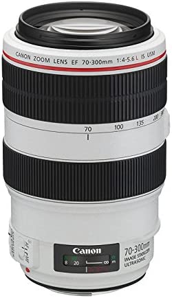 T7i focus shaking with EFS 17-55mm lens and with 7 - Canon