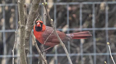 NC2-25-23 (3 of 28).jpg