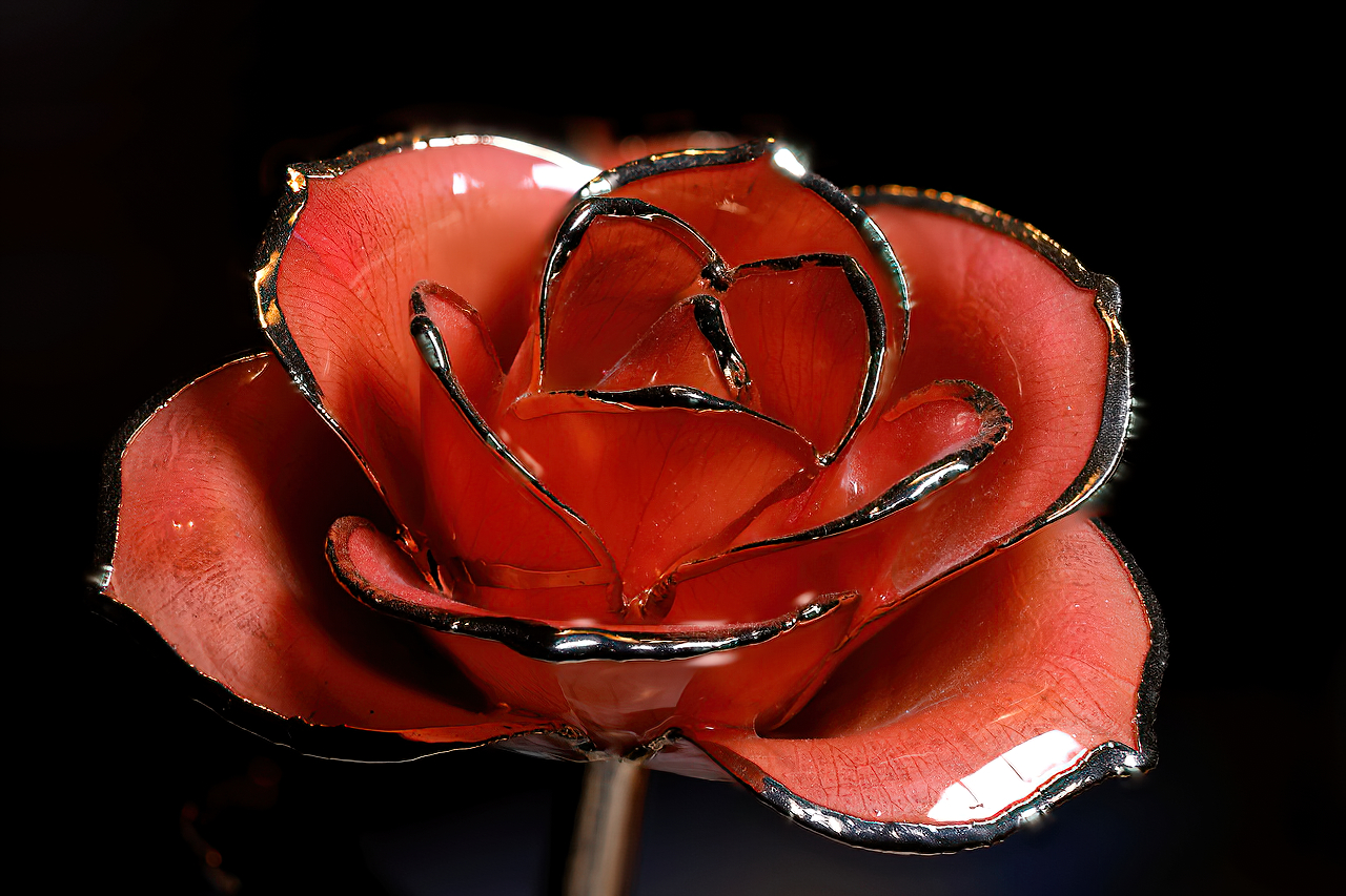 R5 Focus Stacking DPP 4 vs Helicon Focus Process... Canon Community