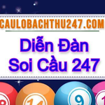 caulobachthu247