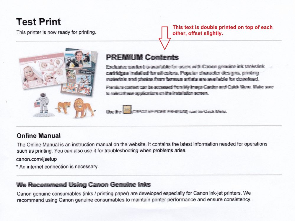MG3620 double printing issue Canon Community