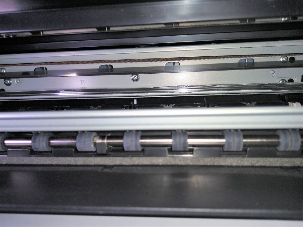 MG3620_Rail-2.jpg