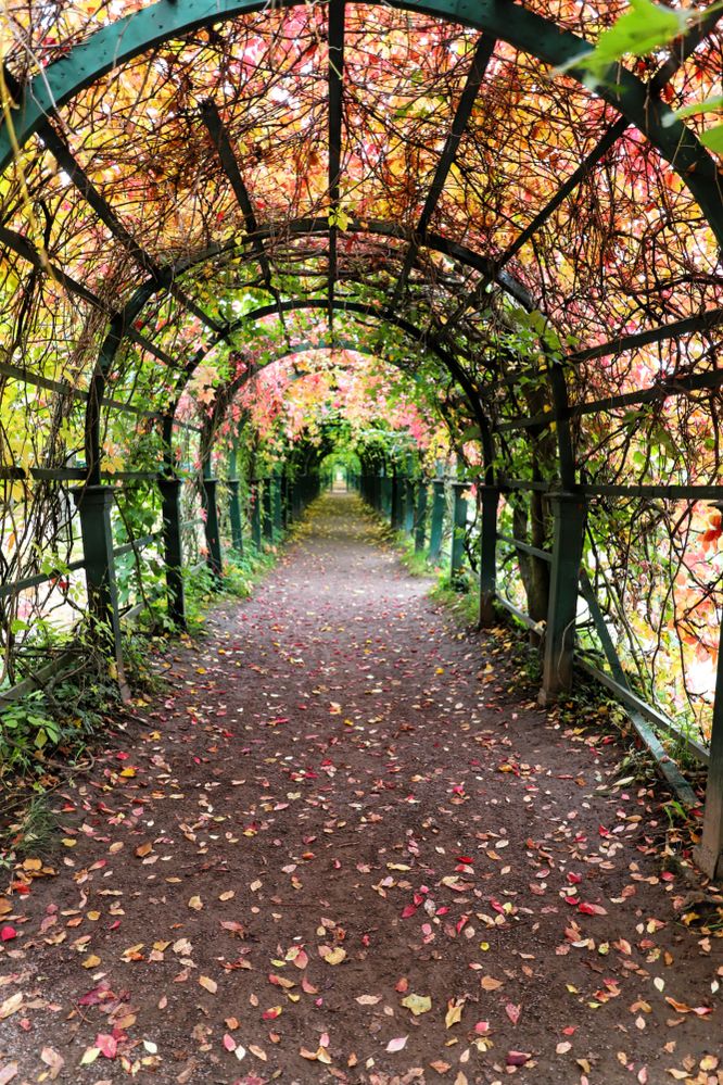 Peterhof Palace Gardens