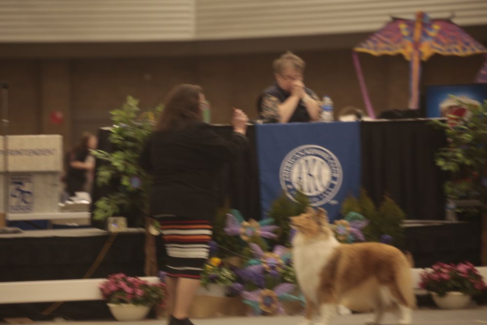 Canon blur_MG_8628.JPG