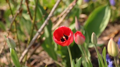 IMG_7968.JPG