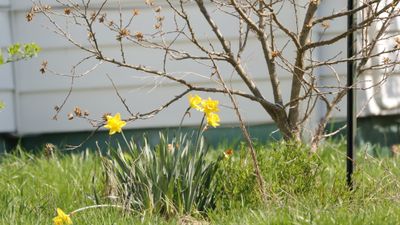 IMG_7965.JPG