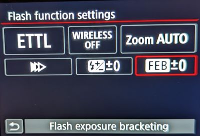 Flash Function Settings screen