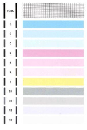 TS9120 Nozzle Check.jpg