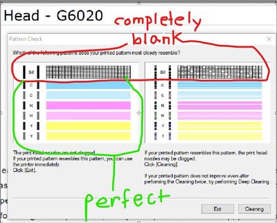 Screenshot 2023-05-05 204707.jpg