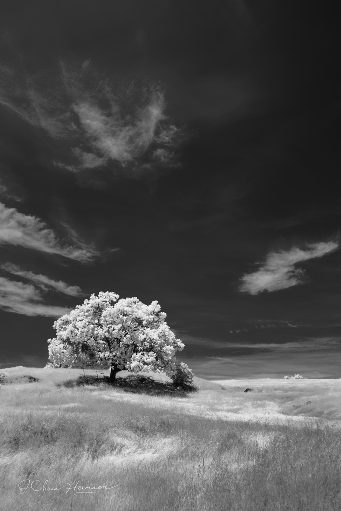 Infrared B+W - Canon Community