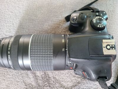 Solved: Canon Rebel T6 overexposure and freezing issue - Canon