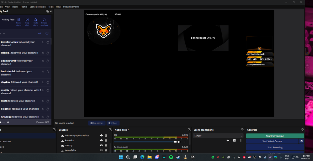The graphic that is there always and no video