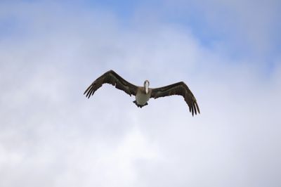 I am watching you ...