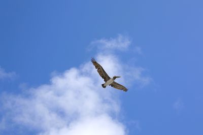 Wait for me fellows !