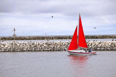 Trying not to be noticed....