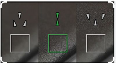 Canon Focus Assist.jpg