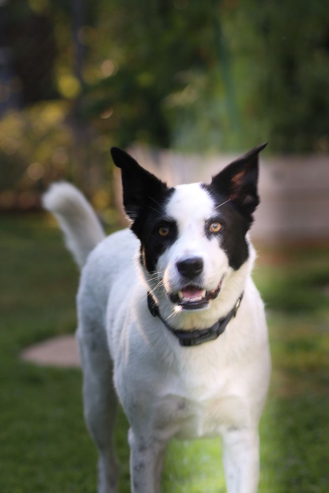 Light Artifact Sample 2