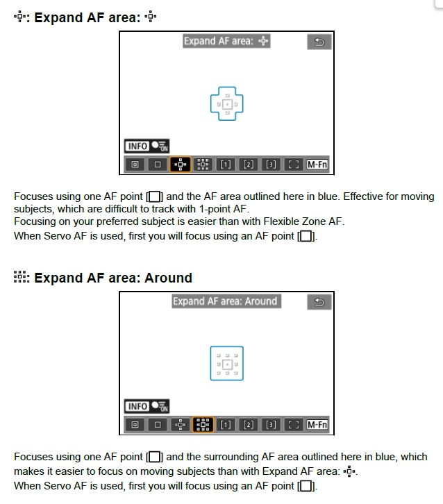 AF Area 4 R6II.jpg