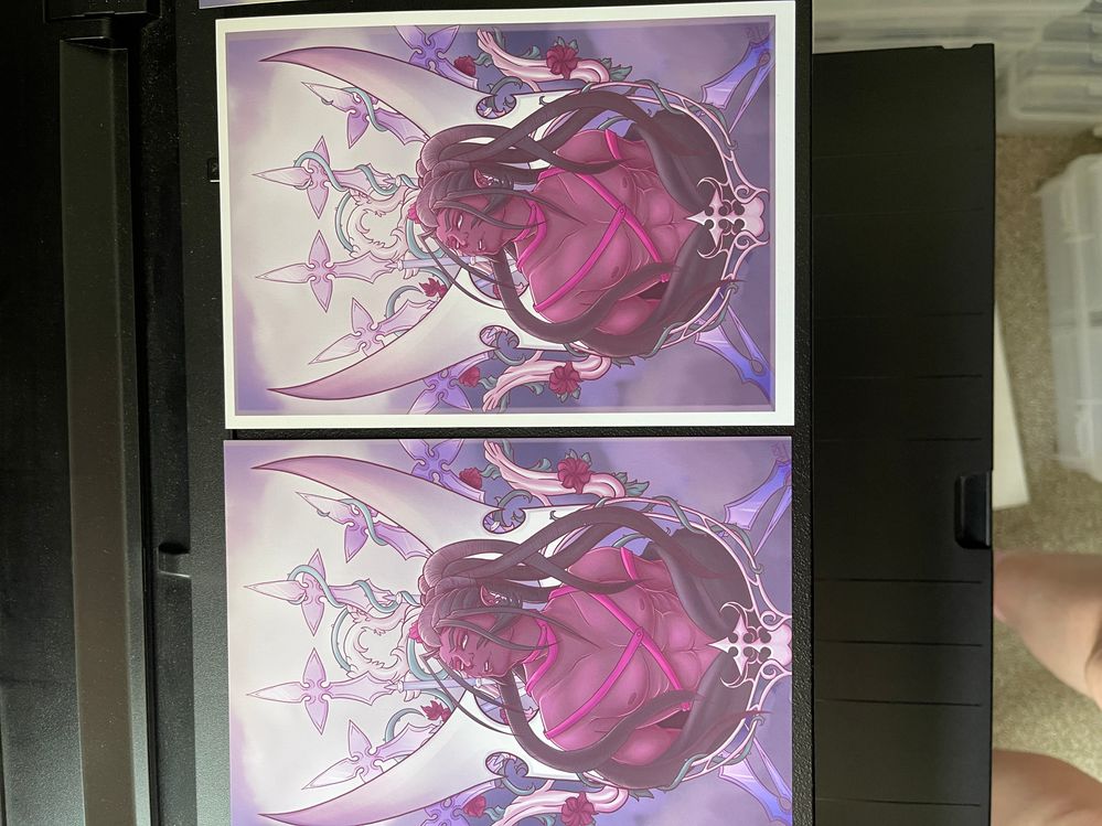 Printed on the pro with a fine art paper