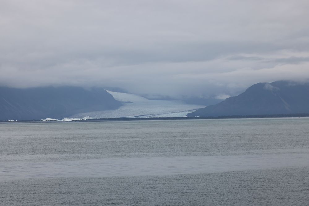 Kenai Natl Park - Glacier