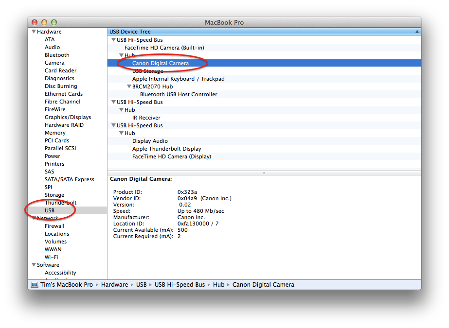 Canon digital camera software download windows 10