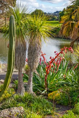 IMG_0947 LR copy.jpg