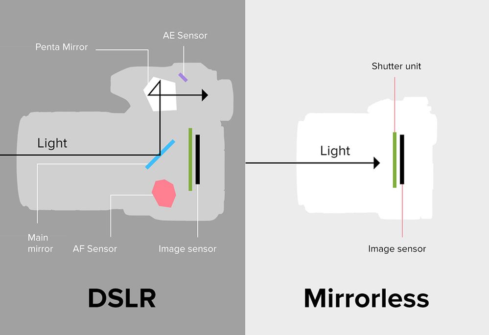 MirrorlessVSDSLR-Image1.jpg