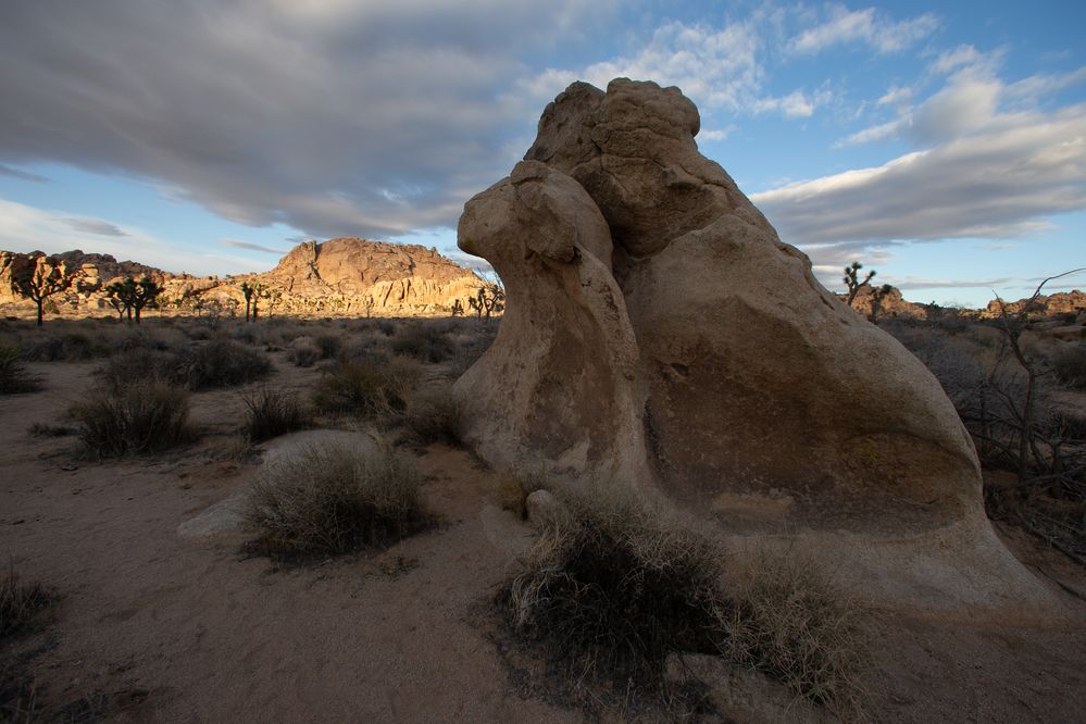 JTNP - Hidden Valley