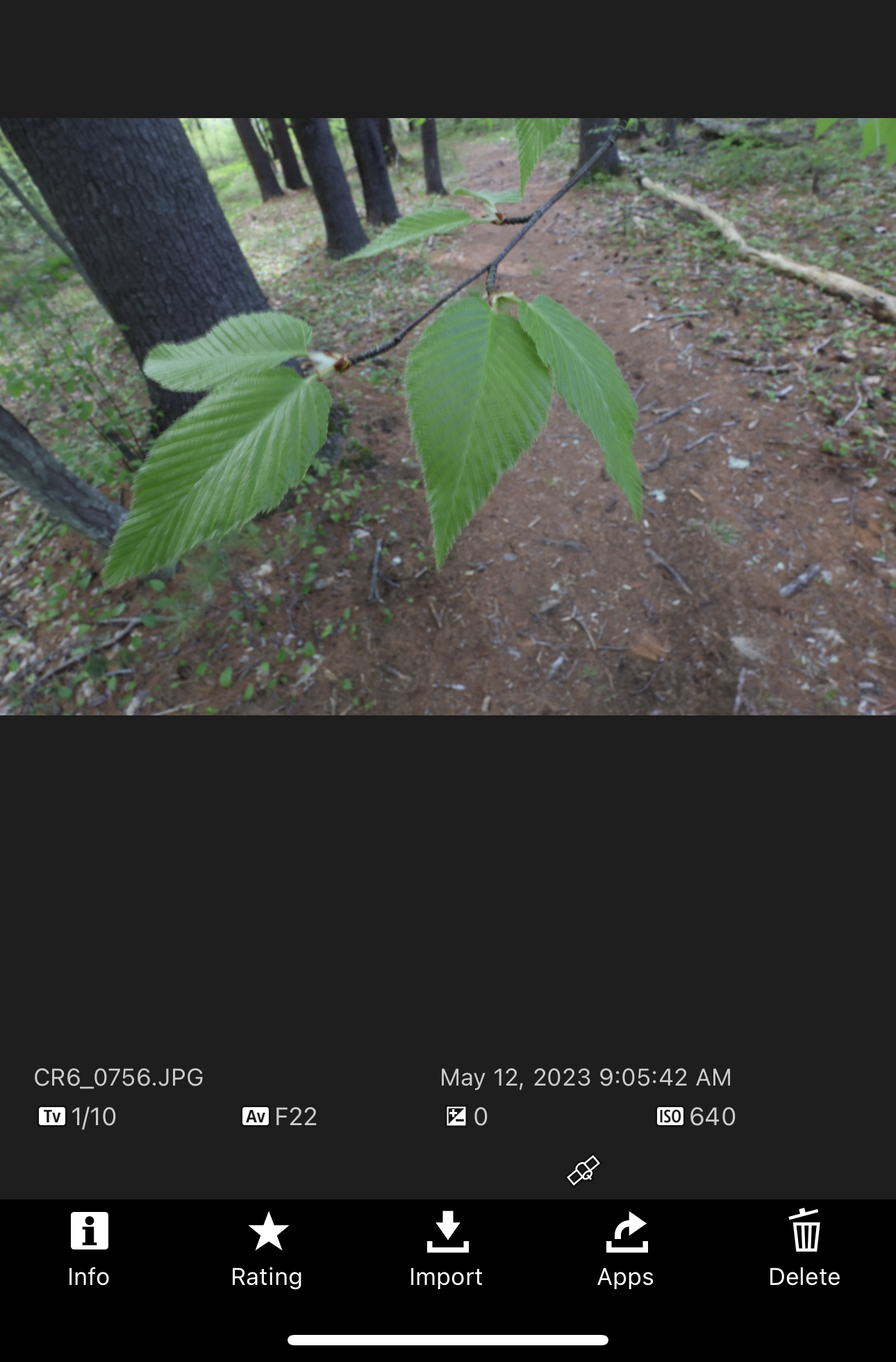 update firmware canon r6 mark ii from camera connect app