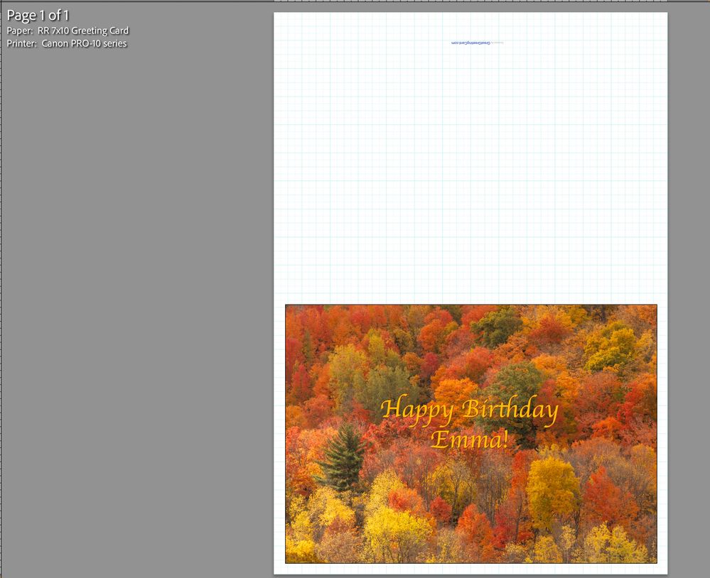 Screenshot 2023-10-09 at 2.54.46 PM.jpg