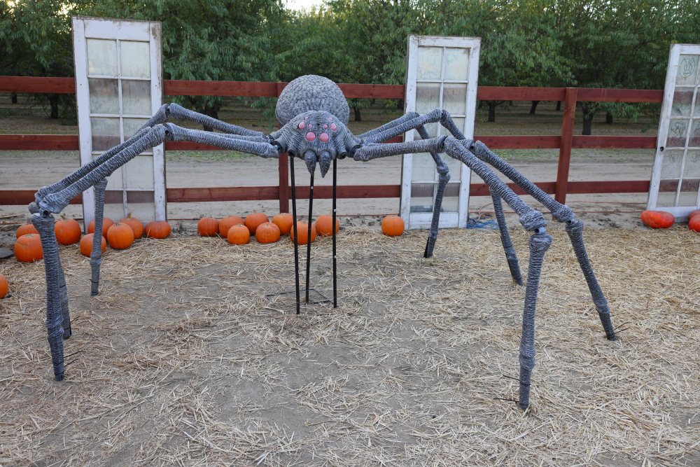 Pumpkin Patch - Bakersfield, Ca - Canon Community