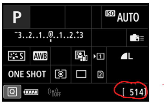 Are you talking about the number circled in red.