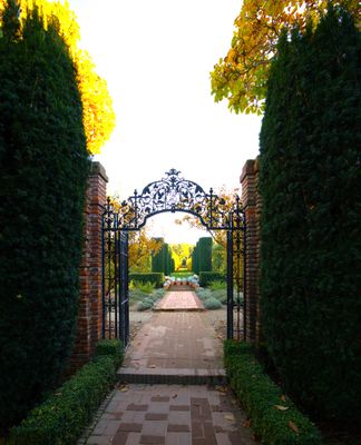 Filoli Gardens 31.jpg