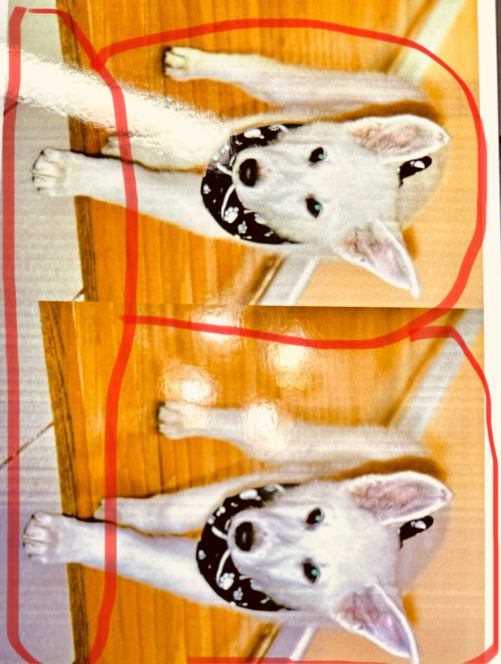 PIXMA TS8220 print with vertical lines Canon Community