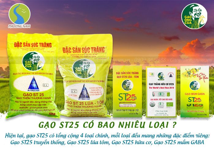 gao-st25-nguon-goc-dac-tinh-gia-ca-cach-phan-biet-gao-that-gia(5).jpg