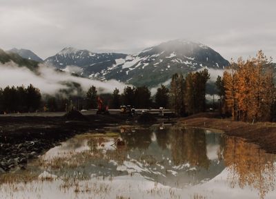 Reflections.jpg