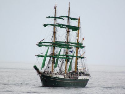 IMG_7126.JPG