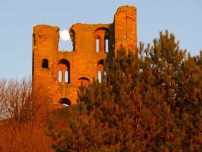IMG_3698.JPG