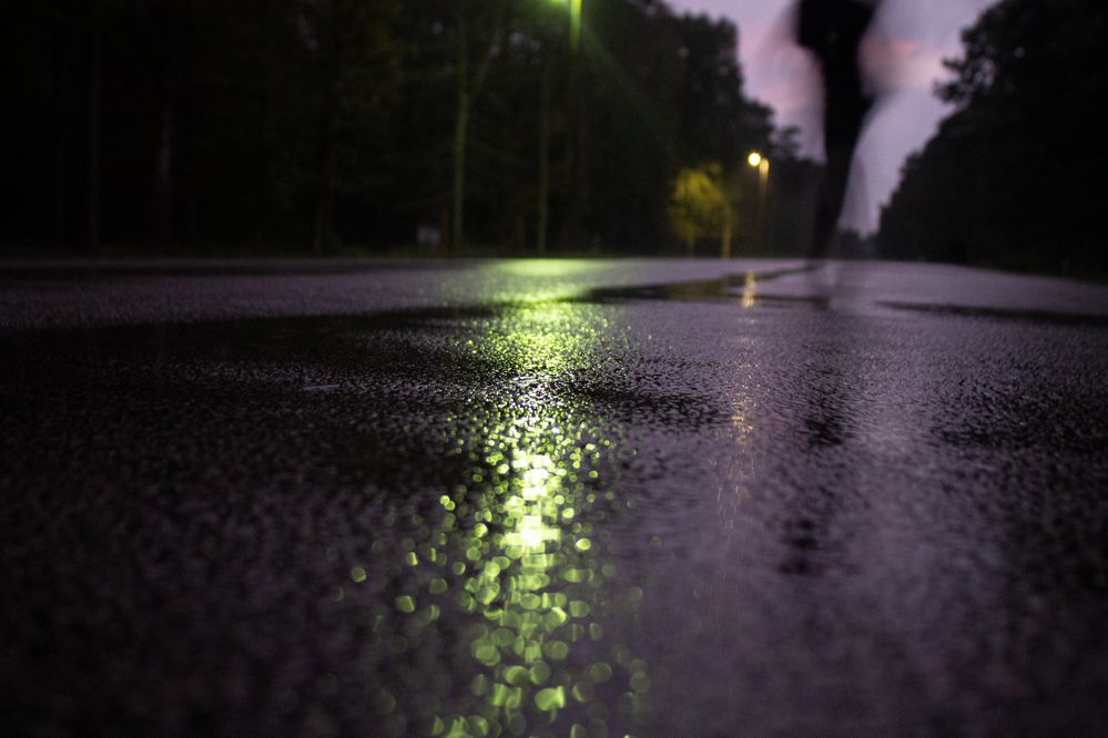 Flitting shadows on the street