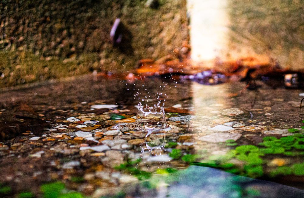 Splash - 50mm, F2.8, 1/4000, ISO 3200