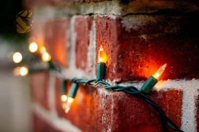Warmth-3.jpg